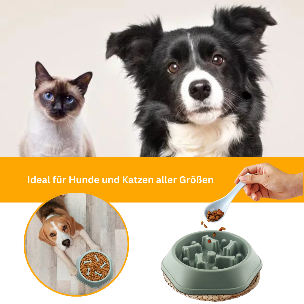 VitalFeeder – Health Bowl