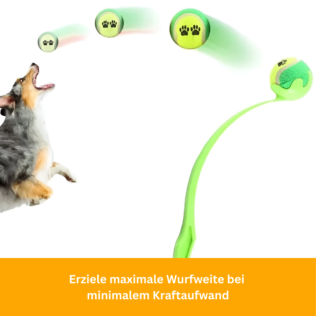 FetchMaster Handballwerfer