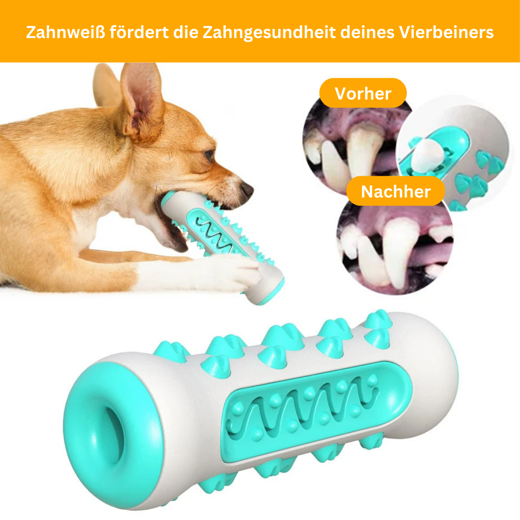 Zahnweiß für Hunde - Unzerstörbarer Begleiter für saubere und gesunde Zähne