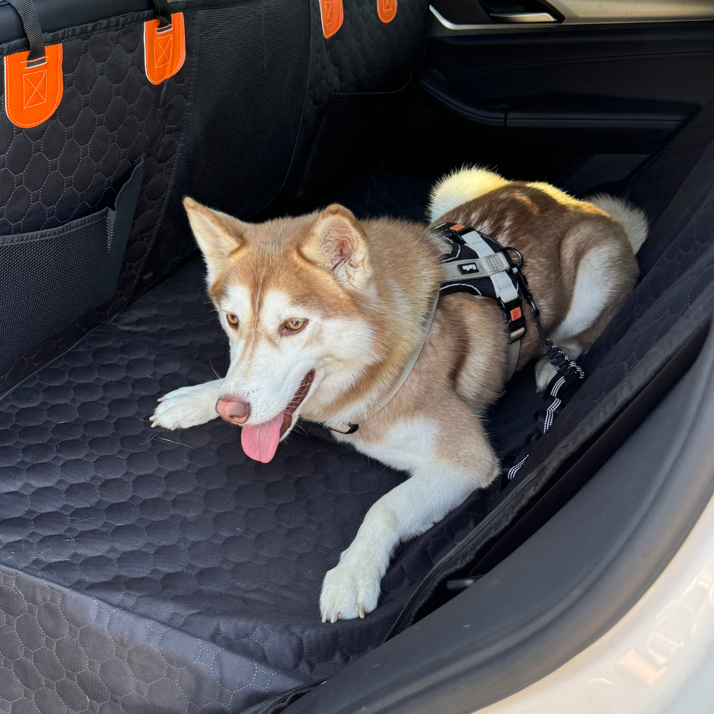 Stabiler Rücksitzschutz - Bundle