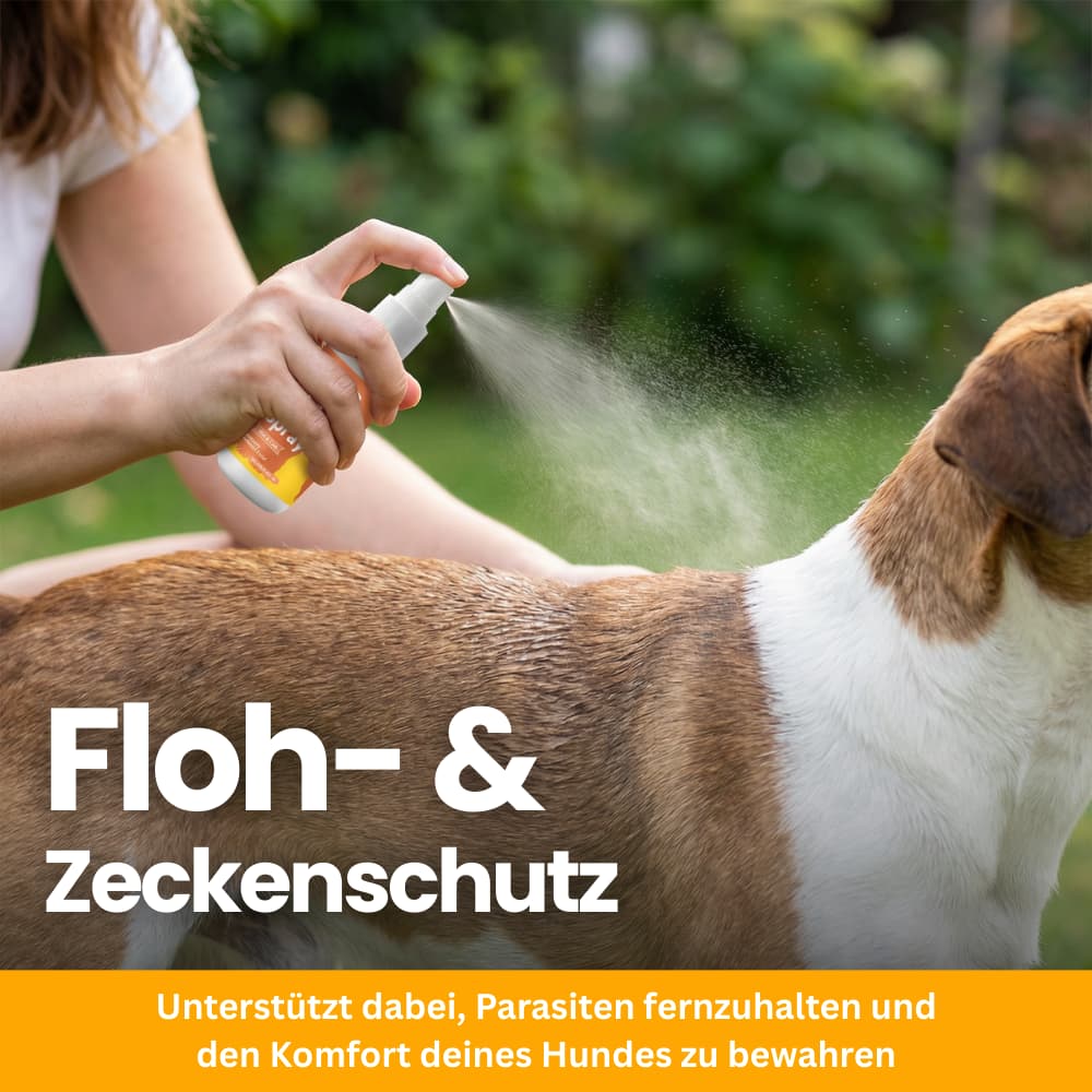 FellGuard Flea & Tick Spray