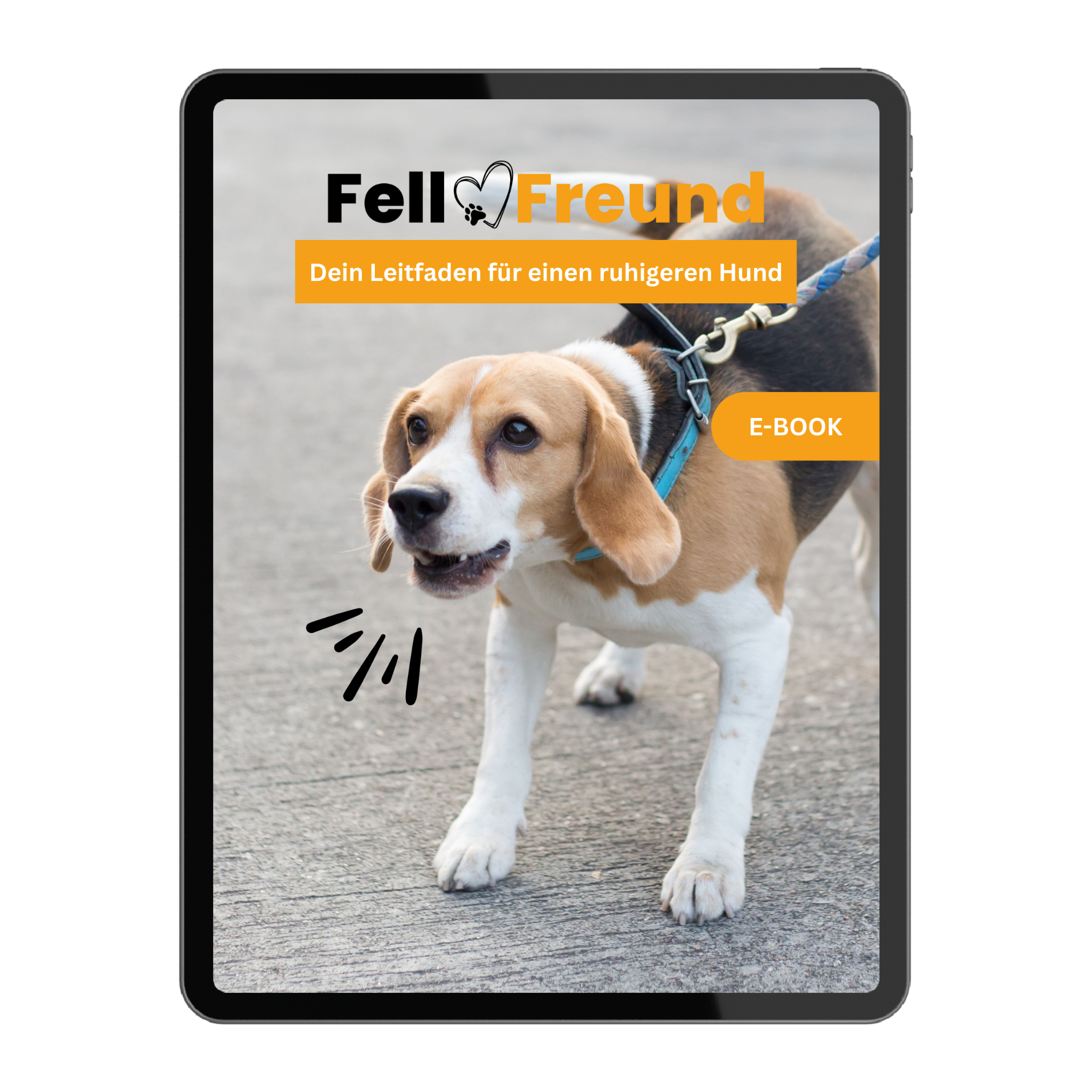 Barking in Moderation: Your Guide to a Calmer Dog