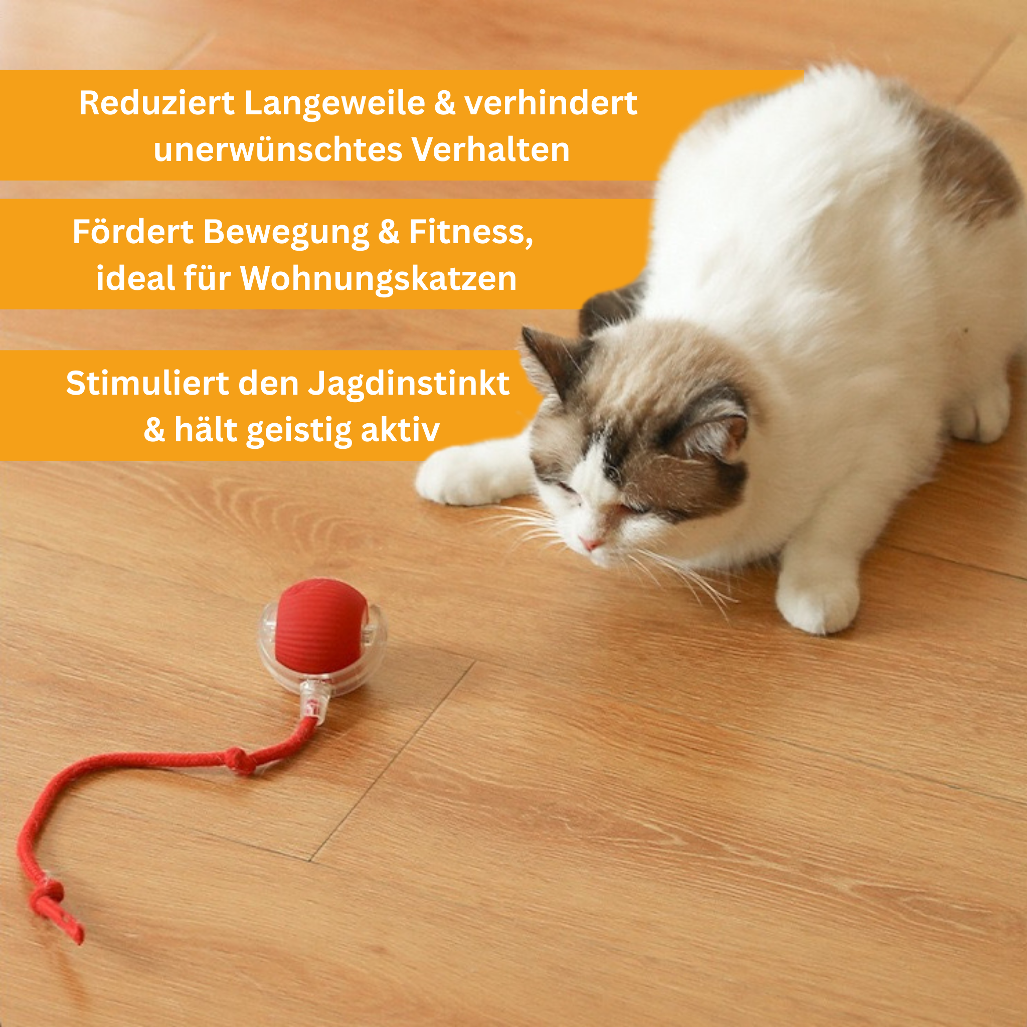 Interactive Tail Ball for Cats