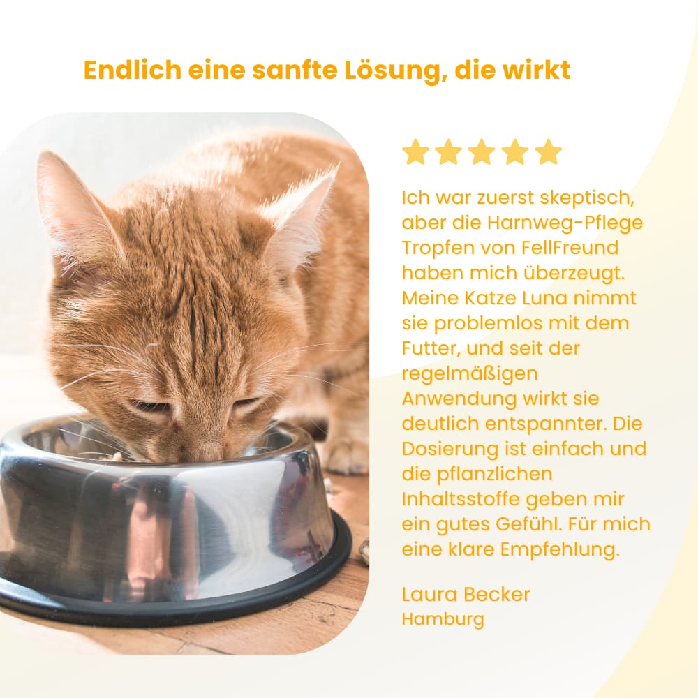 Urinary Tract Care Drops for Dogs & Cats