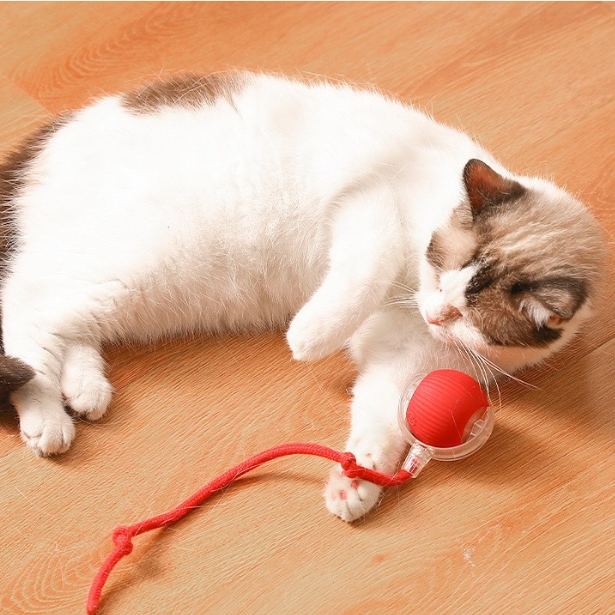 Interactive Tail Ball for Cats
