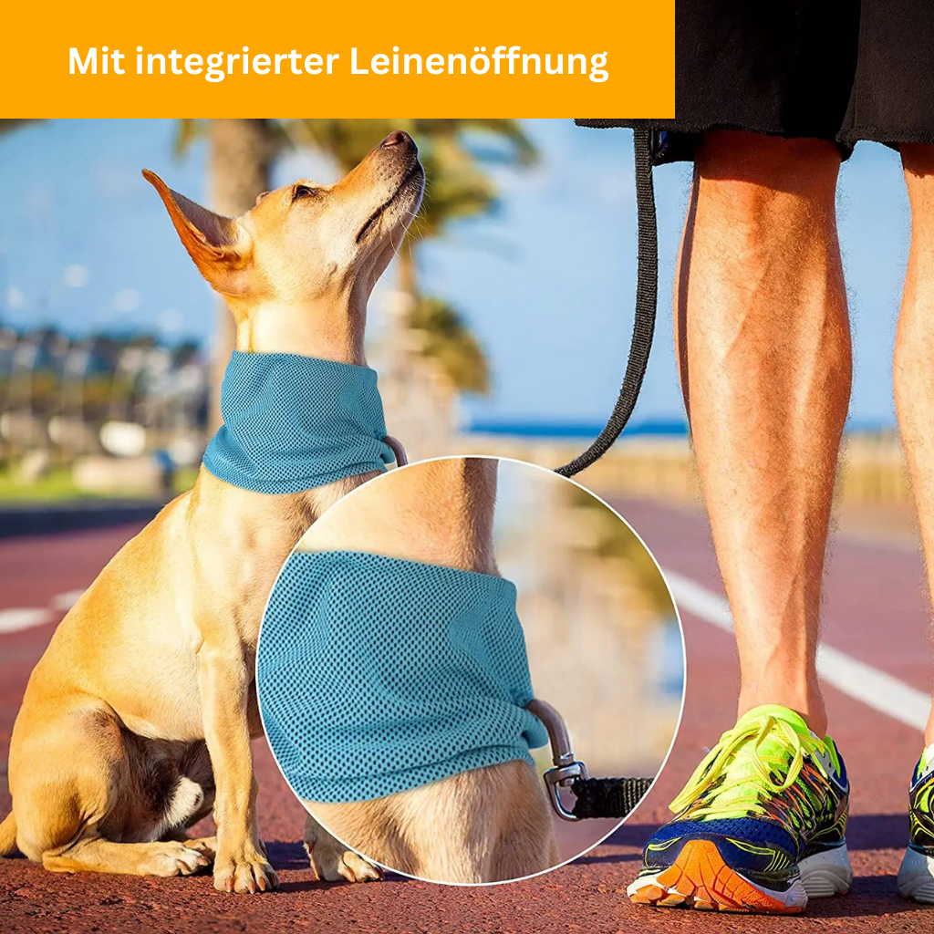 Kühlhalsband Cool Comfort
