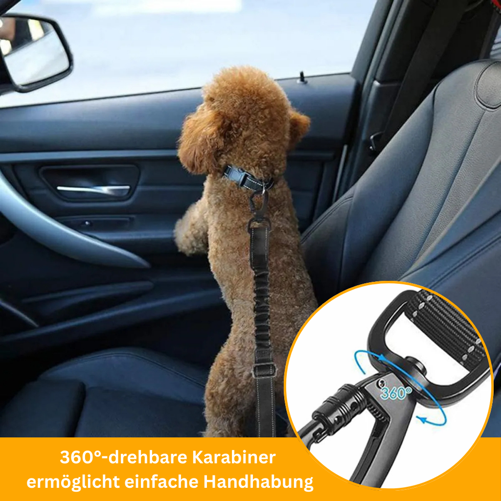 PetSecure 3-in-1 Safety Harness