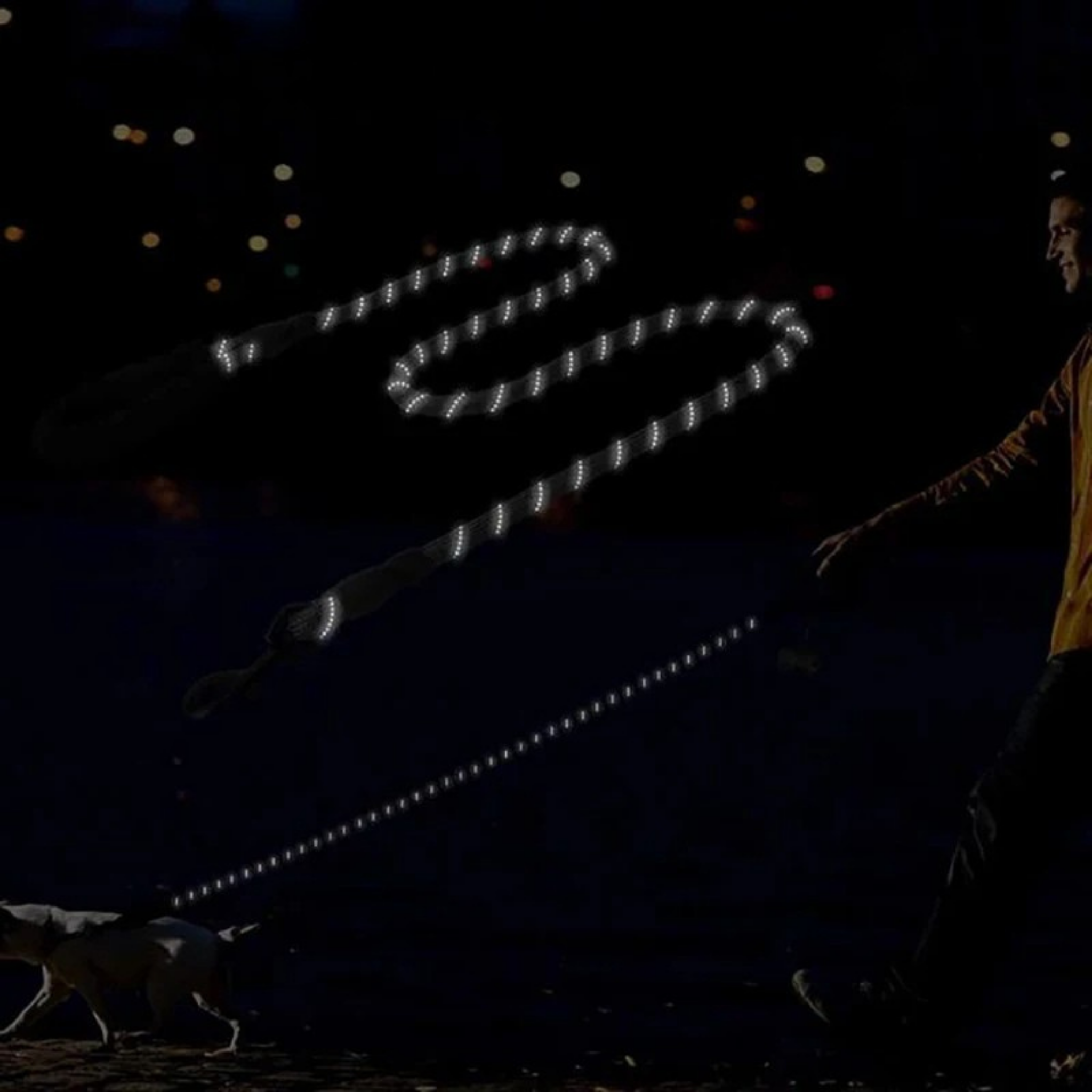 Personalized No-Pull Dog Harness