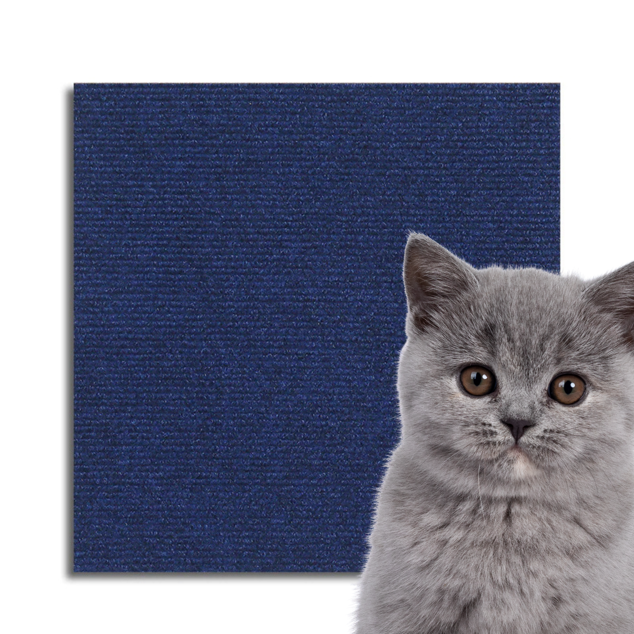 Universeller Katzen Kratzschutz