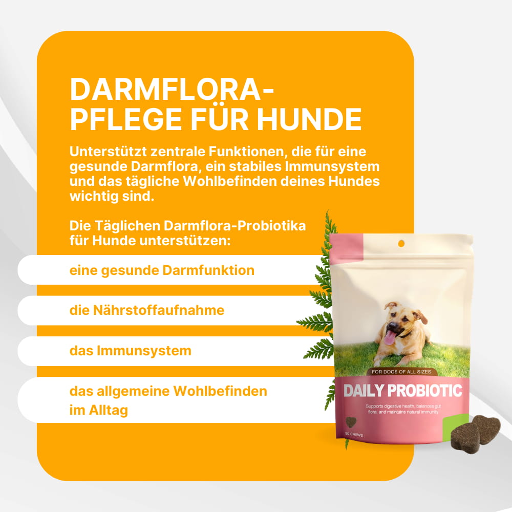 Tägliche Darmflora-Probiotika für Hunde