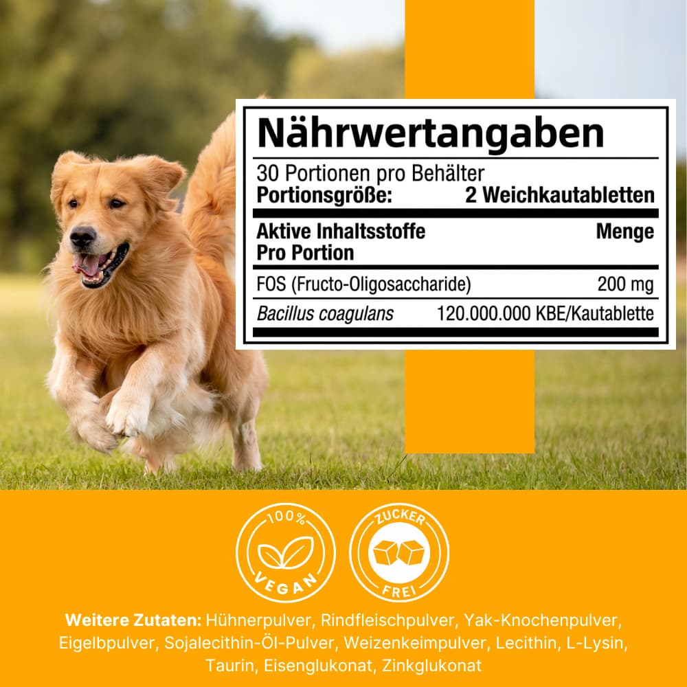 Daily Gut Flora Probiotics For Dogs