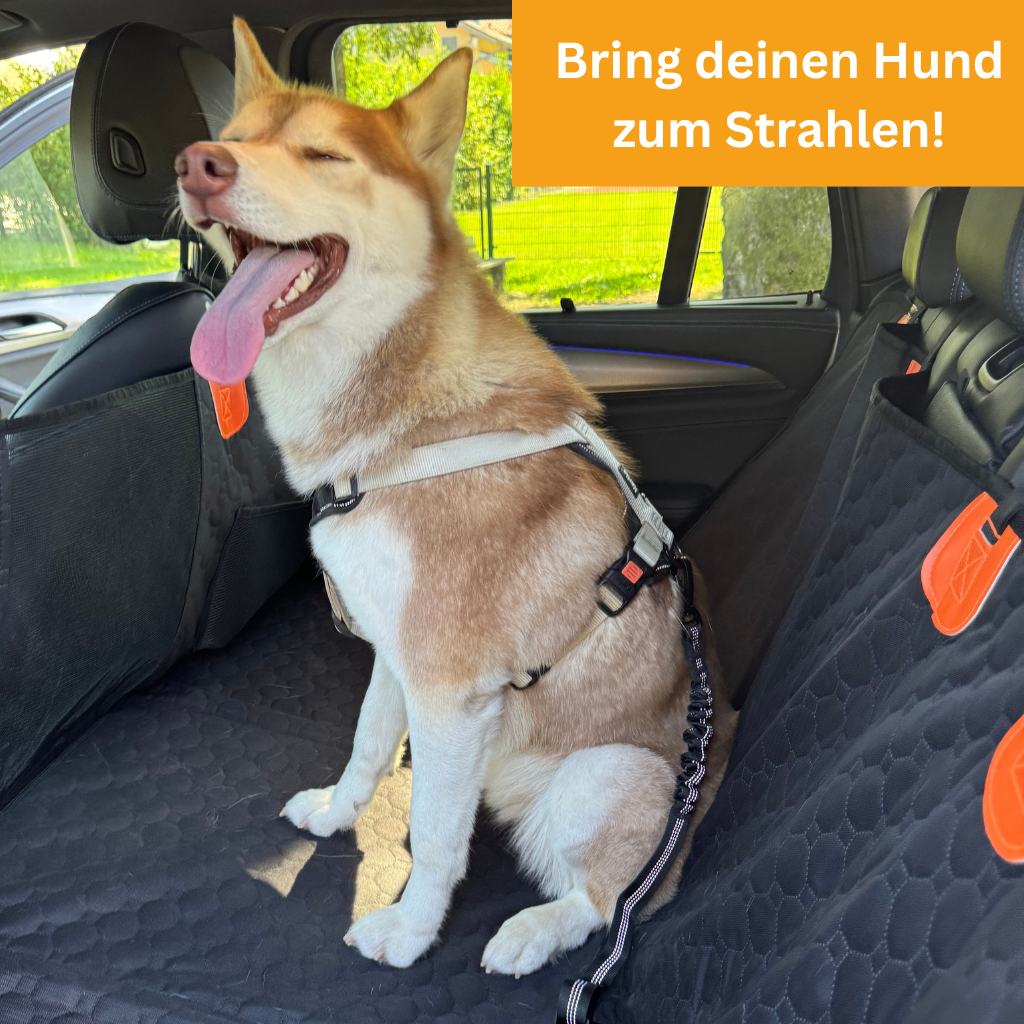 Stabiler Rücksitzschutz - Bundle