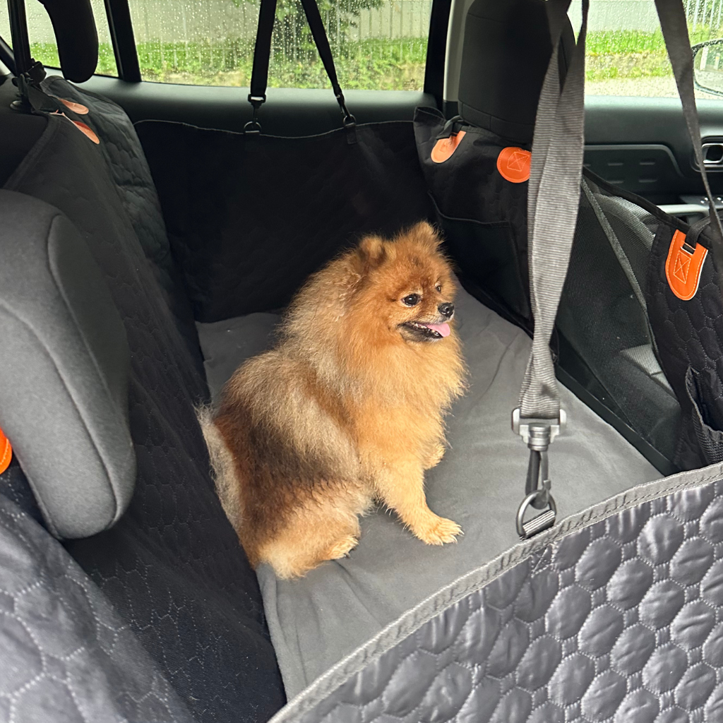 Stabiler Rücksitzschutz - Bundle