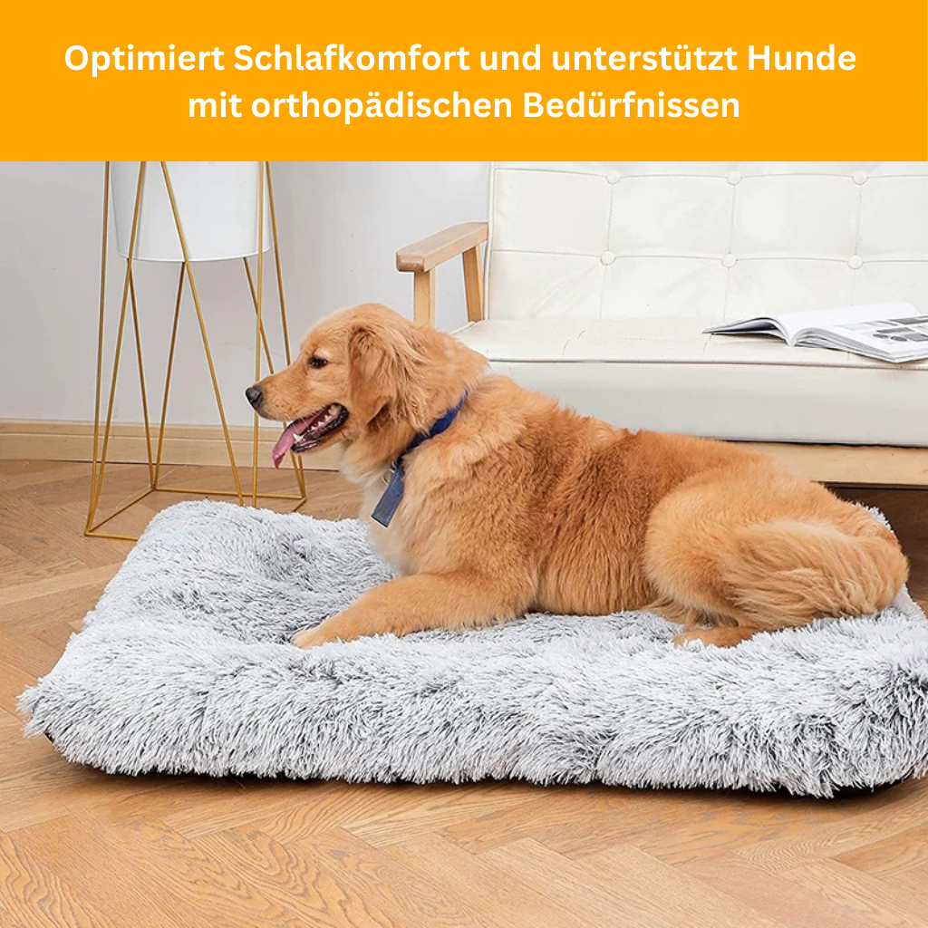 Orthocloud - Orthopädisches Hundebett für gesunde Gelenke