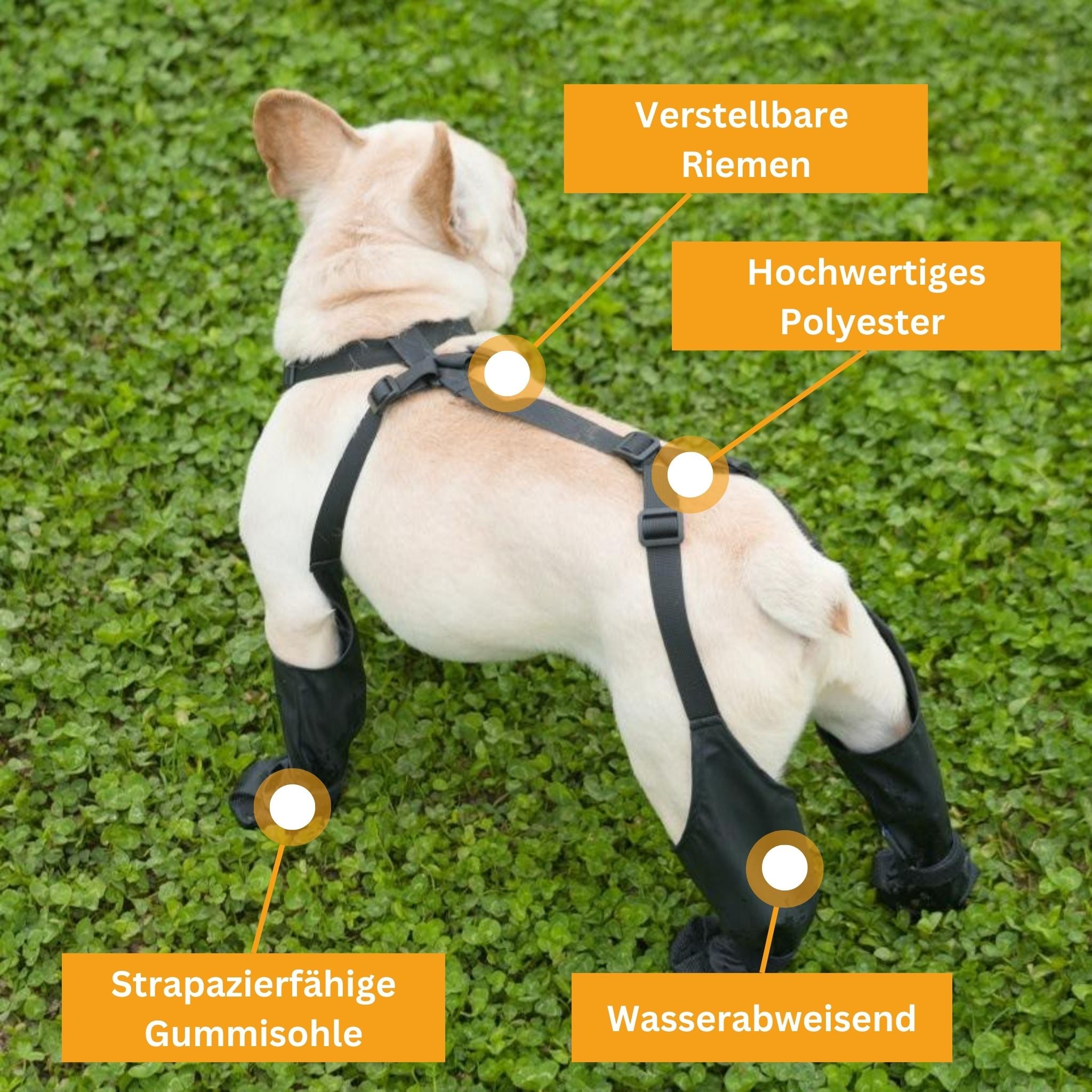 PawGrip - Wasserdichte & Rutschfeste Hundeschuhe