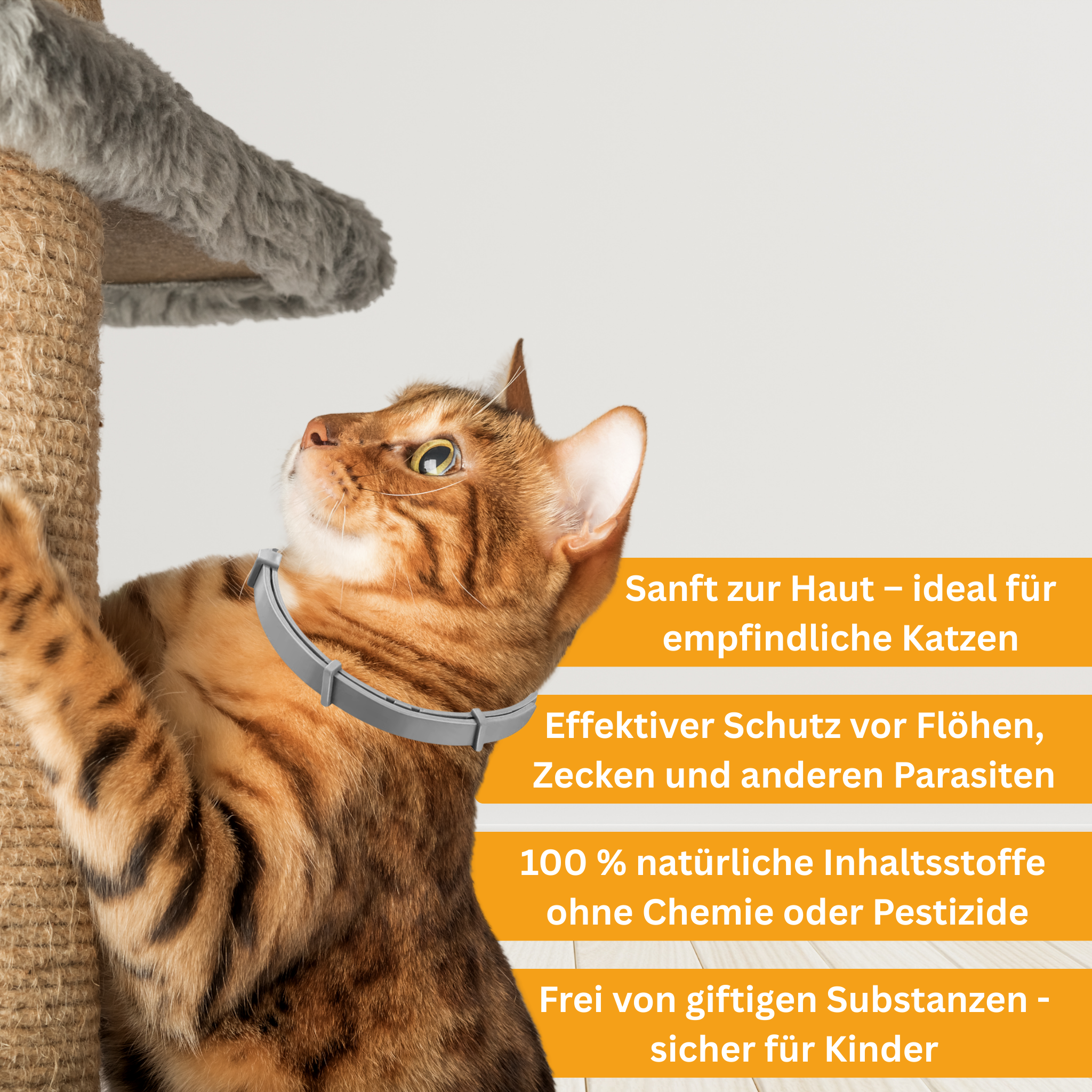 Floh- und Zeckenschutz Halsband für Katzen