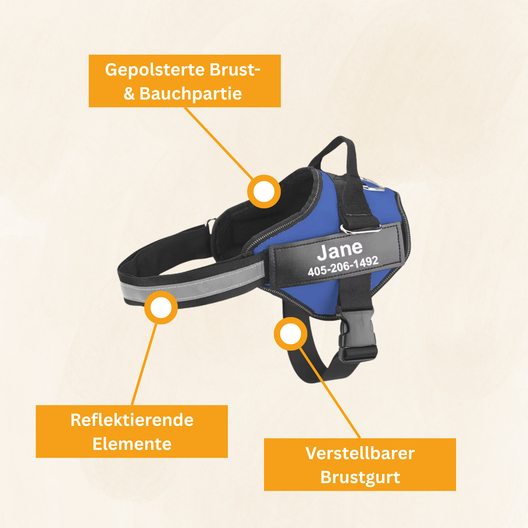 Personalized No-Pull Dog Harness