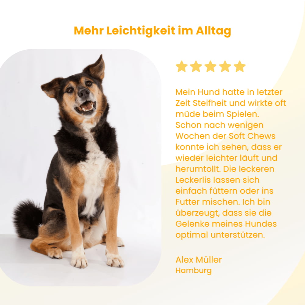 Joint Chews for Dogs with Glucosamine