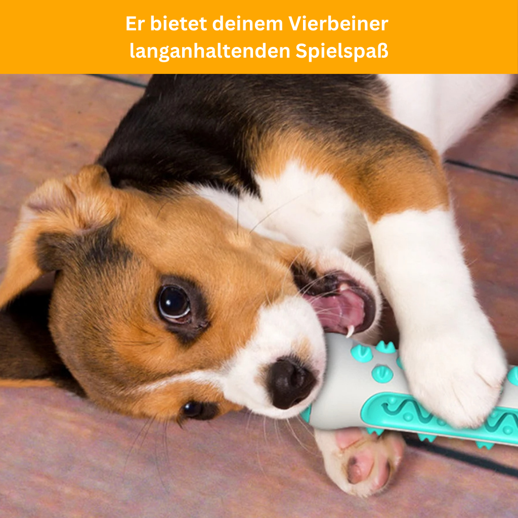 Zahnweiß für Hunde - Unzerstörbarer Begleiter für saubere und gesunde Zähne